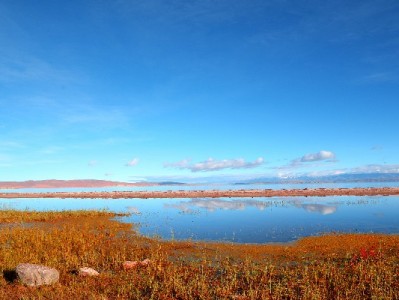 花呗微信支付用得顺？富信掌柜帮你把钱管得更明白