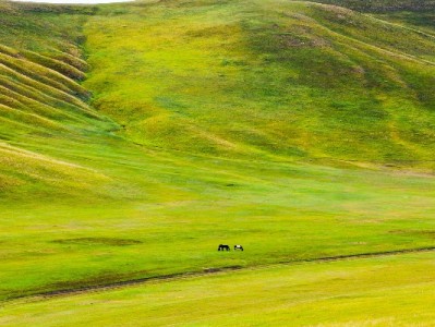 羊小咩信用钱包取现攻略：快速到账+透明费用，应急资金这样用更安心