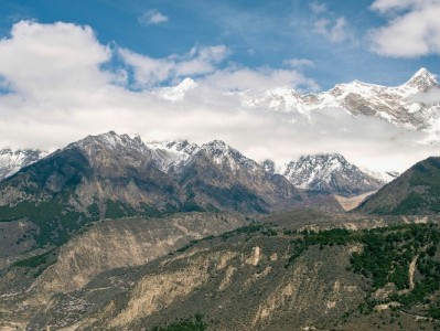 开通花呗商家功能提转化！安出掌柜助你抓住年轻客群