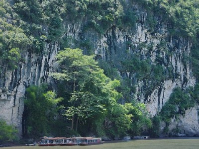 羊小咩信用提现实测：10分钟到账背后，出财小神如何护航？