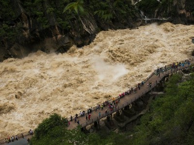 羊小咩穿“出财小神”年套成小区团宠，铲屎官的新年仪式感被萌化了