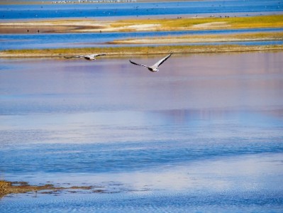 用花呗支付有限制商家吗？三大原因可能导致无法使用