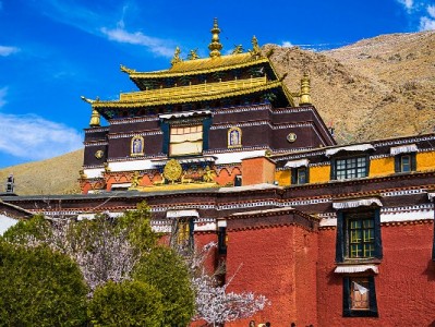 花呗信用购取现需求有解？出财小神合规服务助力资金周转