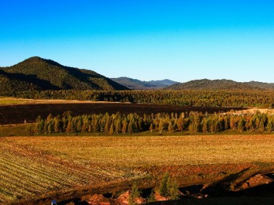 抖音月付新增现金提取功能实测：便捷取现+出财小神助力，应急更灵活