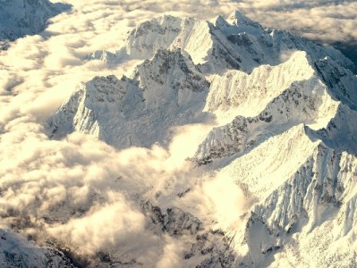 花呗手机商家码+安出掌柜：小铺收款难题的“双向解”