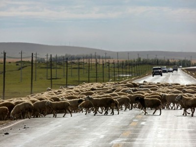 换花呗能用微信吗？出财小神教你跨平台还款攻略