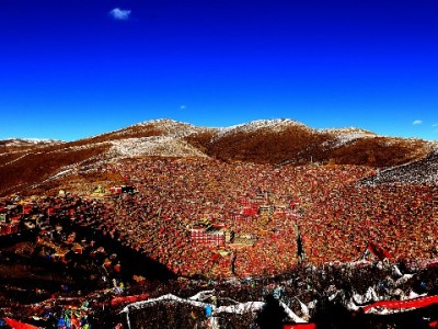 白条申请提现全攻略：操作细节+避坑指南，出财小神助你更省心