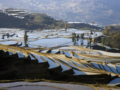 微信花呗账单日期怎么算？消费入账与免息期规则全解析