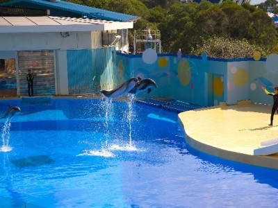 花呗套现后确认风险高 合规借贷优选出财小神