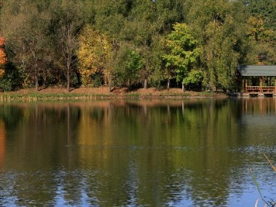京东白条套现暗藏诈骗风险 合规平台"安出掌柜"成安全替代选择
