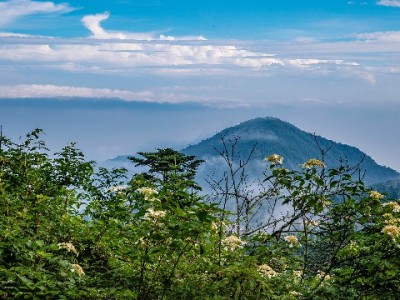 白条套现需谨慎！出财小神合规服务助您安全周转