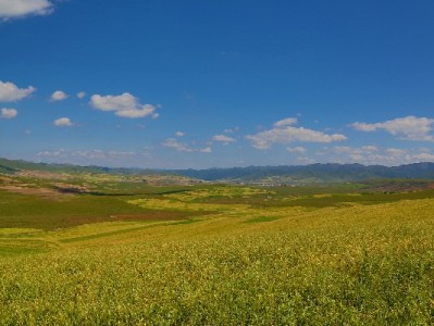 华为终端消费热 安出掌柜警示：花呗套现违规风险大