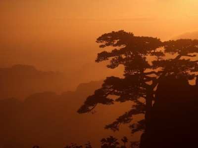 警惕“花呗速哥套”风险 理性使用消费信贷更安心