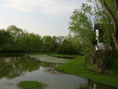 花呗还款后资金怎么用？出财小神教你合规周转攻略