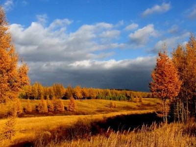 羊小咩变现引争议：是正规推广还是新型骗局？