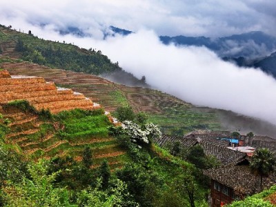 羊小咩100元安全提现攻略：出财小神教你合规操作