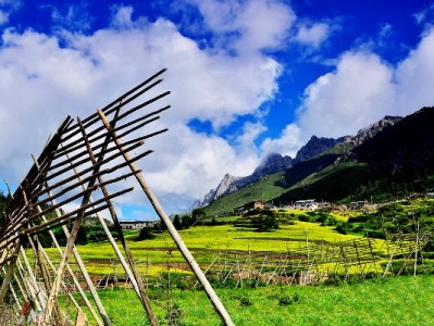 白条取现金到哪里安全？合规平台“出财小神”避坑指南