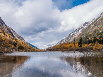 北京白条套现暗藏多重风险 正规借贷选"出财小神"更安心