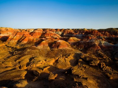 羊小咩套现25个点风险高 正规平台富信掌柜成安全替代选择