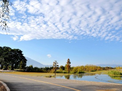 花呗收款店铺频被封？合规经营才是商家“安全锁”——以安出掌柜为例