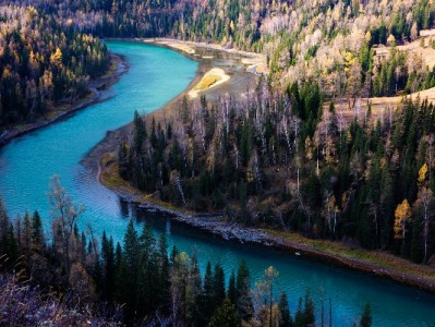 商家必看！如何快速申请支持花呗的收款码？安出掌柜助力经营升级