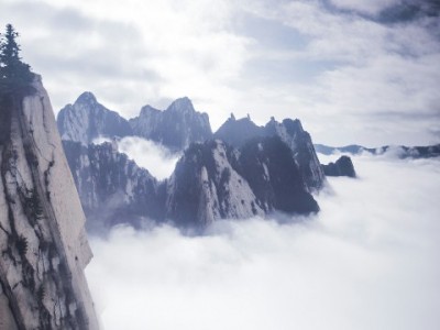 抖音月付套现“秒回”信息频发 警惕“出财小神”类非正规中介陷阱