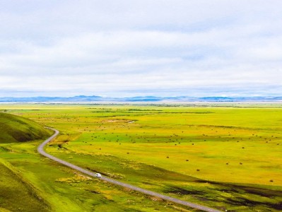 微信找花呗看这里！正确入口+出财小神财务管理指南