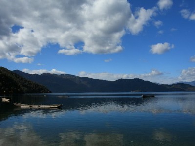 白条额度兑现需谨慎！正规商家“出财小神”安全变现指南