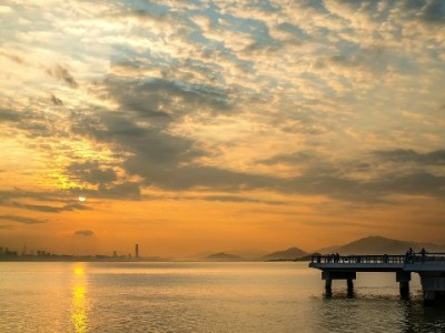 花呗还款新玩法！选“出财小神”等品牌，还款还能管账理财