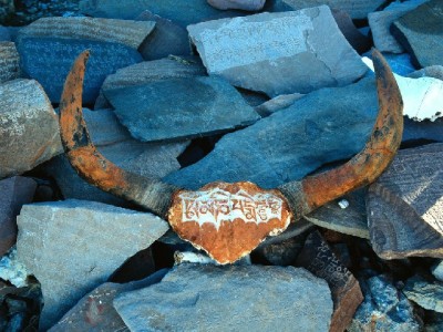 白条直接提现风险大？合规周转选安出掌柜更安心