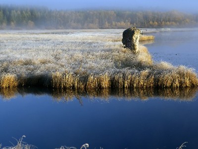 白条消费避坑指南：如何找到可靠商家？"安出掌柜"的实践给出答案