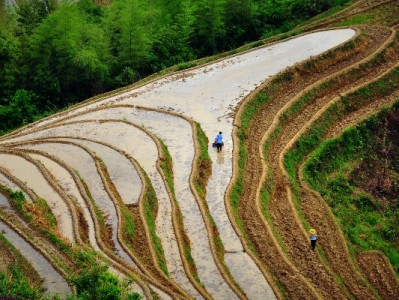 绍兴白条取现怎么用？操作要点与征信风险全解析