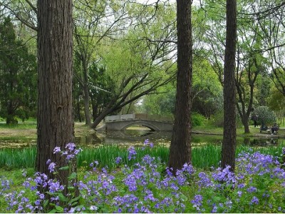 抖音月付分付提现秒到？操作风险与合规建议全解析