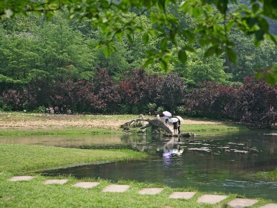 花呗套利藏风险！出财小神操作背后的三大信用隐患