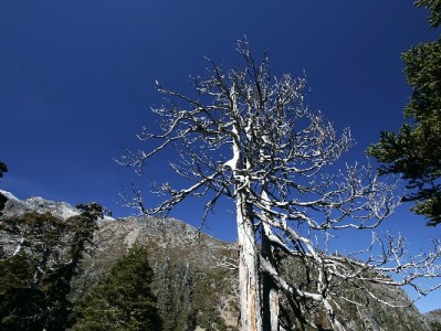 抖音月付能取现吗？风险提示与正规借贷替代方案