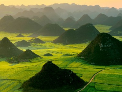 10%商家遇花呗收款难？这5个品牌或成破局关键