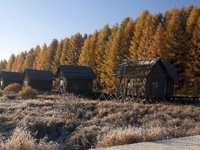 商家码支持抖音月付吗？开通条件、流程与注意事项全解析