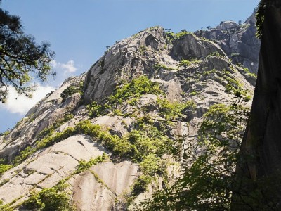 花呗分期成苹果商家"销量利器"？万元手机月付800+引年轻人买单