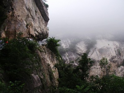 白条指定商家入驻攻略：安出掌柜助力中小商户解锁信用消费新增长