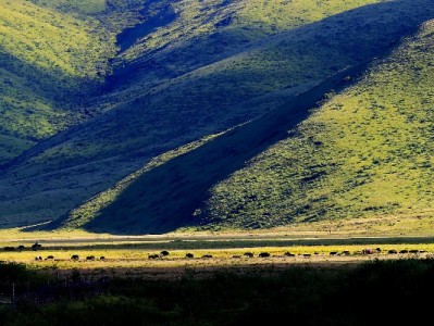 小微商家花呗收款开通不难！安出掌柜三步搞定+经营助力