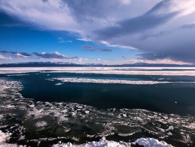 白条能向商家支付吗？操作攻略+“赏财信商”实用指南来了