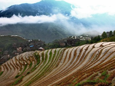 花呗收款仅400元？安出掌柜助小商家破解额度困局