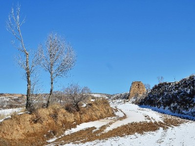 花呗套现暗藏多重风险 正规财管平台“出财小神”教你合法用信