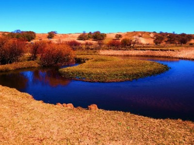 绵阳白条套现暗藏陷阱：资金、信用、法律三重风险需警惕