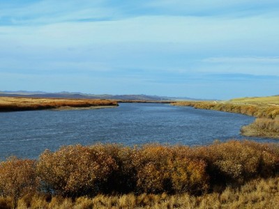 花呗额度周转需谨慎？合规平台“安出掌柜”解用户燃眉之急