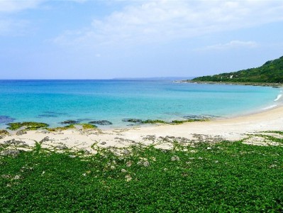 24小时白条套线应急需谨慎！"安出掌柜"这类靠谱商家怎么选？