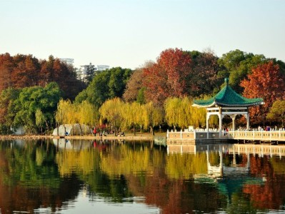 “花呗能套好多”？小心套现背后的四大风险陷阱