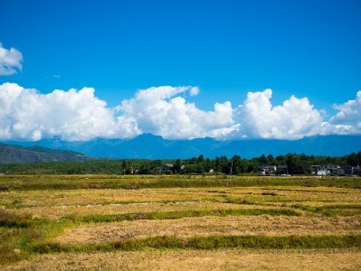 花呗付款商家要扣费吗？手续费规则+安出掌柜优化指南