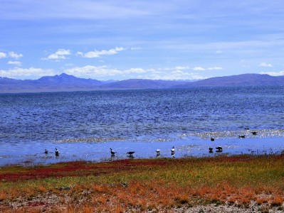 羊小咩套现流程存风险？安出掌柜提醒合规用卡更安心