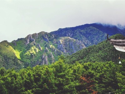 花呗逾期别碰套现！出财小神教你正确应对信用危机